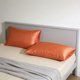 thumbnail image 4 of Fundas de almohada de terciopelo Sobres Estilo 2 pack • Fundas refrescantes para almohadas de verano • Ropa de cama suave para el pelo y vegana para suavizar arrugas, 4 of 6