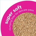 thumbnail image 2 of okocat Premium Super Soft Clumping Natural Wood Cat Litter, Delicate Paws, Unscented,11.2 lbs, 2 of 10