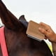 thumbnail image 2 of Cepillo de madera y metal para caballos, removedor de pelo de caballo, cepillo de aseo para mascotas, cepillo raspador de limpieza, 2 of 8