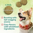 thumbnail image 6 of Honest To Goodness Plant Snacks Holiday Apple Spice Crunchy Dog Treats 4 oz, 6 of 6