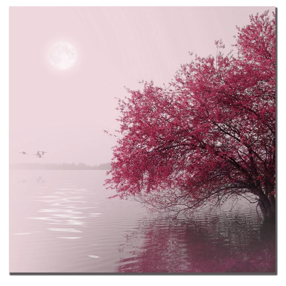 Trademark Art "Full Moon on the Lake" Canvas Art by Philippe Sainte-Laudy