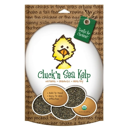 Organic Sea Kelp - Treats For Chickens Organic Cluck'n Sea Kelp - Vitamin Supplement