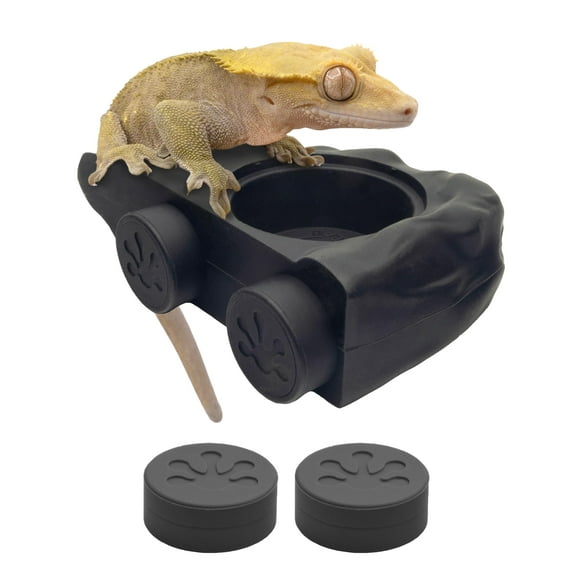 Comedero magnético de silicona para reptiles Pangea Gecko, 10 x 7 x 3 cm