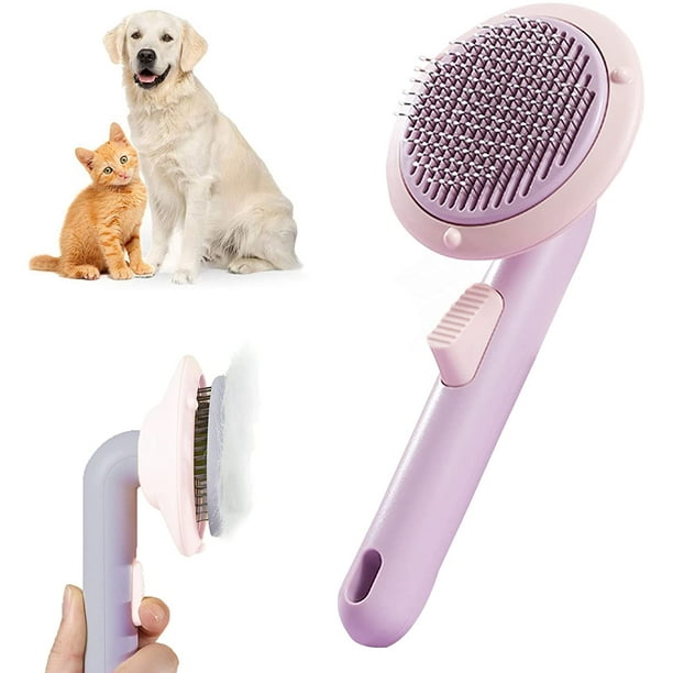 Labrador store hair brush