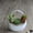 White, variant on Ceramic Wall Mounted Flower Pot for Home Decor with Matte Finish, 7-Inch Indoor Plant Planter for Small Ferns and Succulents