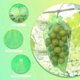 thumbnail image 3 of 50 pcs Grape Protection Bags, 30X20cm, Organza Bags, Fruit Protection Bags, Insect Netting, Garden Protection and Pest Control (Green), 3 of 5