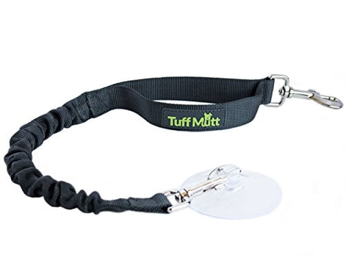 short leash training