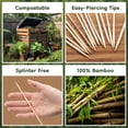 thumbnail image 3 of BambooMN 3mm Sharp Point Food Grilling Fruit Appetizer Bamboo Skewers - 7.9" (20cm) - 1,000 Pieces, 3 of 10