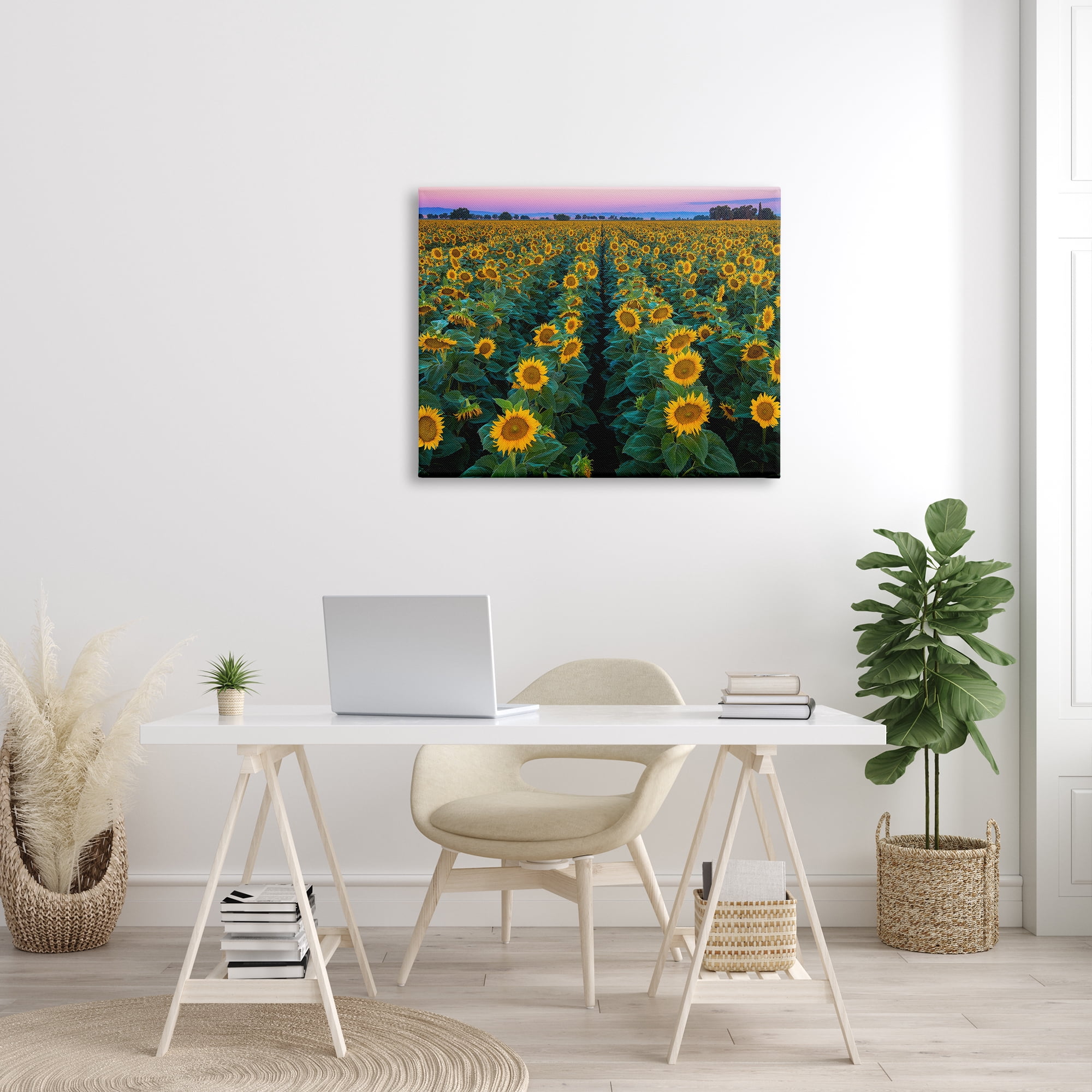 Stupell Industries Sunflower Field Rows at Sunset Farm Photography Botanical & Floral Painting Gallery Wrapped Canvas Print Wall Art, 30 x 40