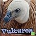 thumbnail image 2 of Vultures (Birds), 2 of 2