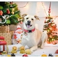 thumbnail image 2 of 2Pcs Christmas Dog Collar,Soft Comfortable Dog Collar for Christmas with Quickly Release Buckle Christmas Puppy Collar Red Green Christmas Pet Collars for Small Medium Large Large Breeds Dogs Cats, 2 of 6