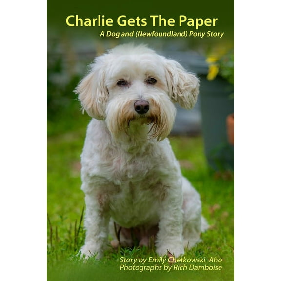 Charlie Gets the Paper : A Dog and (Newfoundland) Pony Story (Paperback)