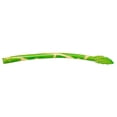 thumbnail image 2 of Cheers US 5Pcs Artificial High Simulation Asparagus Asgus Display Artificial Simulation Asparagus Model,Fake Vegetable Fruit Ornament, Shop Display, Cabinet Kitchen Home Decoration, 2 of 7