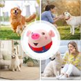 thumbnail image 4 of ORUYROP Active Moving Pet Plush Toy | Talking Animal Plush Toy for Dog | Moving Pet Toy for Dog | Electronic Plush Dog Toy | Bouncing Dog Toy | Pet Bouncing Ball for Cats Dogs, 4 of 5
