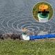 thumbnail image 5 of 10pcsAutomatic Rotating Sprinkler Heads,360 Degree Rotating Irrigation Turning, 5 of 5