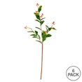 thumbnail image 3 of Vickerman 25" Artificial Green Scimmia Leaf with Flower Spray. Includes 6 sprays per pack., 3 of 4