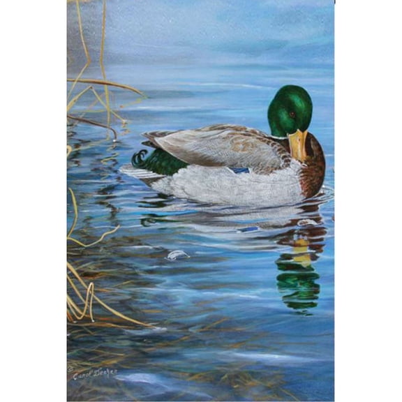 Premier Garden Size Flag - Mallard