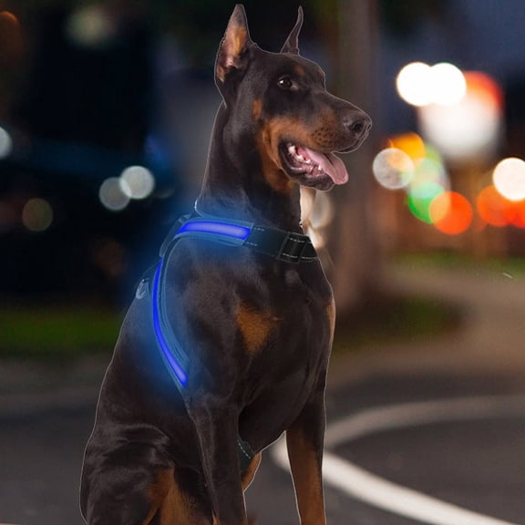 Light Up Dog Harness, 8 Color Changing LED Pet Vest with Reflective Strips - USB Rechargeable, Includes Leash for Nighttime Safety Walking and Running