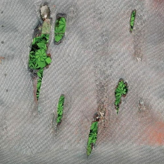 Koreless - Agor - Music & Performance - CD