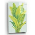 thumbnail image 1 of Epic Art 'Chartreuse Tropical Foliage I' by Tim O'Toole, Acrylic Glass Wall Art, 16"x24", 1 of 3