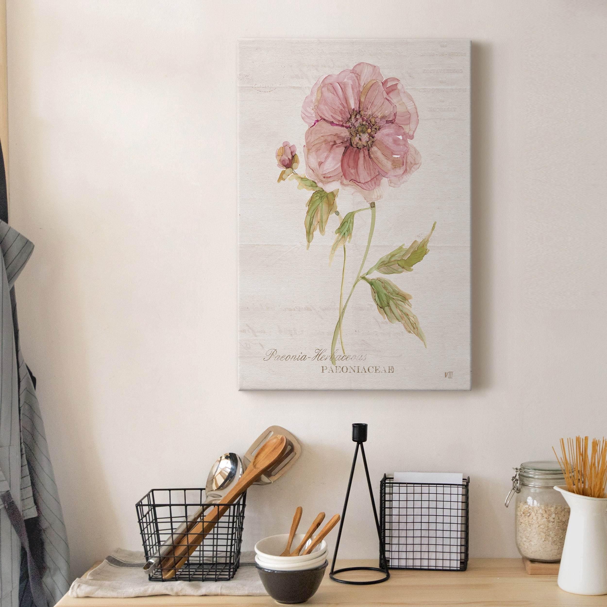 Soft Peony Premium Gallery Wrapped Canvas - Ready to Hang - 24 x 36