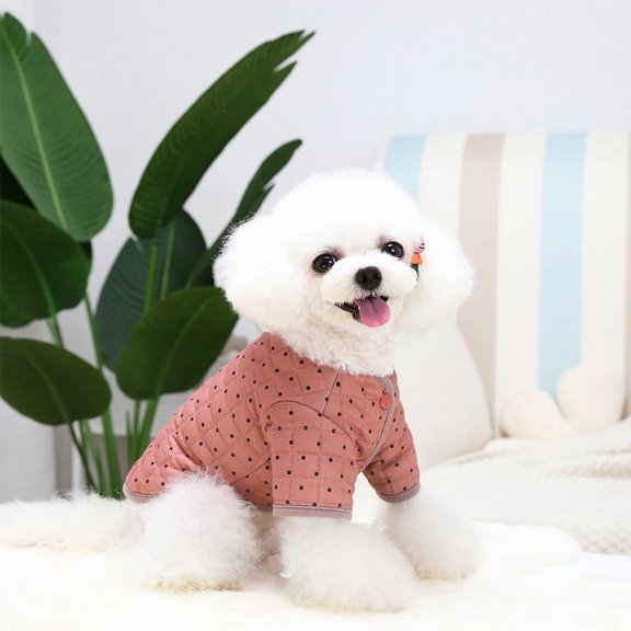 Pet Clothes Matcha Two Legs Cotton-padded Clothes Teddy Bear Dog Clothing Autumn And Winter Dog Clothes Wine Red