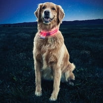 Nite Dawg LED Dog Collar, PartNo NND2S-10-R3, by Nite Ize, Single Unit, Pet Produ
