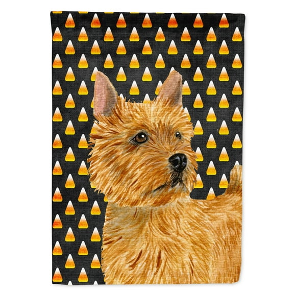 Carolines Treasures SS4292-FLAG-PARENT Norwich Terrier Candy Corn Halloween Portrait Flag  multicolor