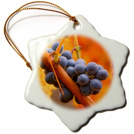 3dRose California, Napa Valley, dew on cabernet grapes in autumn vineyard - Snowflake Ornament,