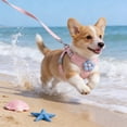 thumbnail image 5 of Escape Proof Dog Harness No Pull, Adjustable Soft Padded Vest with Leash for Small Medium Dogs Cats, Breathable Mesh & Cute Flower Design, 5 of 6