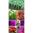thumbnail image 2 of Grow Light With Stand, Full Spectrum Led Floor Plant Light For Indoor Plants, Grow Lamp With On/off, 2 of 5