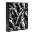 thumbnail image 4 of Stupell Industries Black Bold Fronds Botanical & Floral Painting Black Framed Art Print Wall Art, 24 x 24, 4 of 10