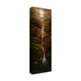 thumbnail image 2 of Trademark Fine Art 'Fall Waterfall' Canvas Art by Bill Makinson, 2 of 3