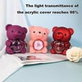 thumbnail image 4 of Preserved Rose Teddy Bear Gift with Heart Necklace Eternal Flower Bear Gift Box (Red), 4 of 5