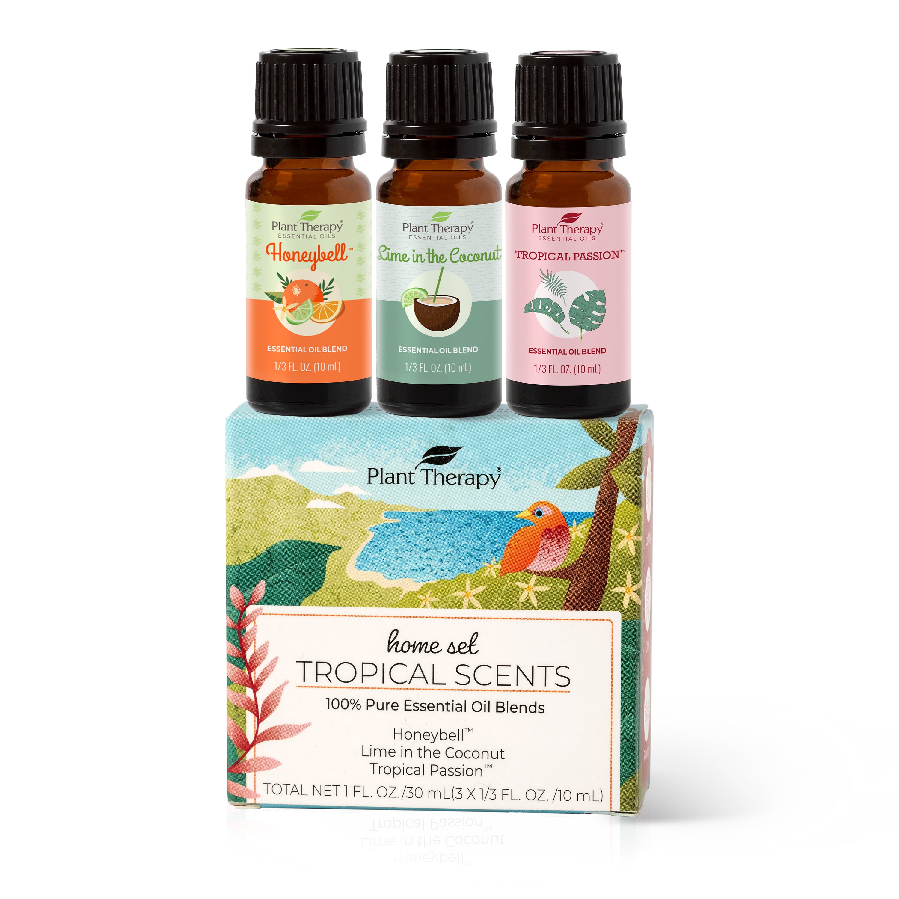 Plant Therapy Pain Support Essential Oil Blend Set 10 ml (1/3 oz) Each of Ache Away, Rapid Relief & Tension Relief, Pure, Undiluted, Essential Oil