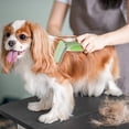 thumbnail image 5 of Pet Grooming Brush for Dogs and Cats Detangling Comb ABS Material Deshedding Tool Indoor Outdoor Use, 5 of 5