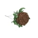 thumbnail image 3 of Colgantes en Miniatura de Casa de Muñecas en Canasta Macarena Planta en miniatura, 3 of 5