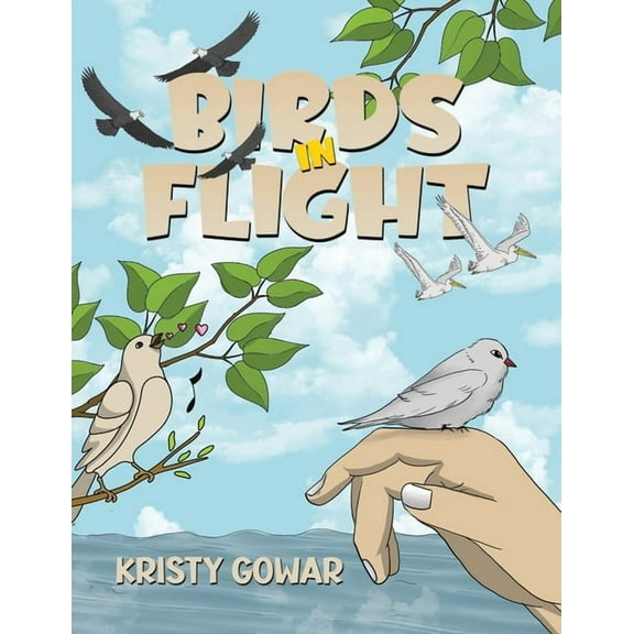 Birds in Flight, (Paperback)