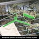 thumbnail image 5 of Tendedero portátil plegable de aleación de aluminio | Tendedero ligero y plegable con ranuras resistentes al viento | Resistente a la corrosión, ideal para acampar al aire libre y viajes de n, 5 of 5