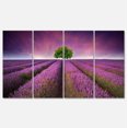 thumbnail image 2 of Lavender Field Sunset with Single Tree - Floral Canvas Art Print, 2 of 3