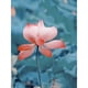 thumbnail image 1 of Cuadros Decorativos 5D DIY diamante pintura Lotus completo redondo diamante mosaico pared JShteea Nuevos Originales, 1 of 9