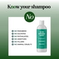 thumbnail image 4 of Invigorating Tea Tree Mint Shampoo - Rosemary Mint Shampoo for Oily Hair with Tea Tree Oil for Hair - Aromatherapy Clarifying Shampoo for Build Up Dry Scalp and Flakes with Essential Oils for Hair, 4 of 9