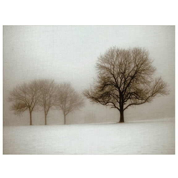 Masterpiece Art Gallery Winter Sun Sepia Tree By Ilona Wellmann Canvas Art Print 30" x 40"