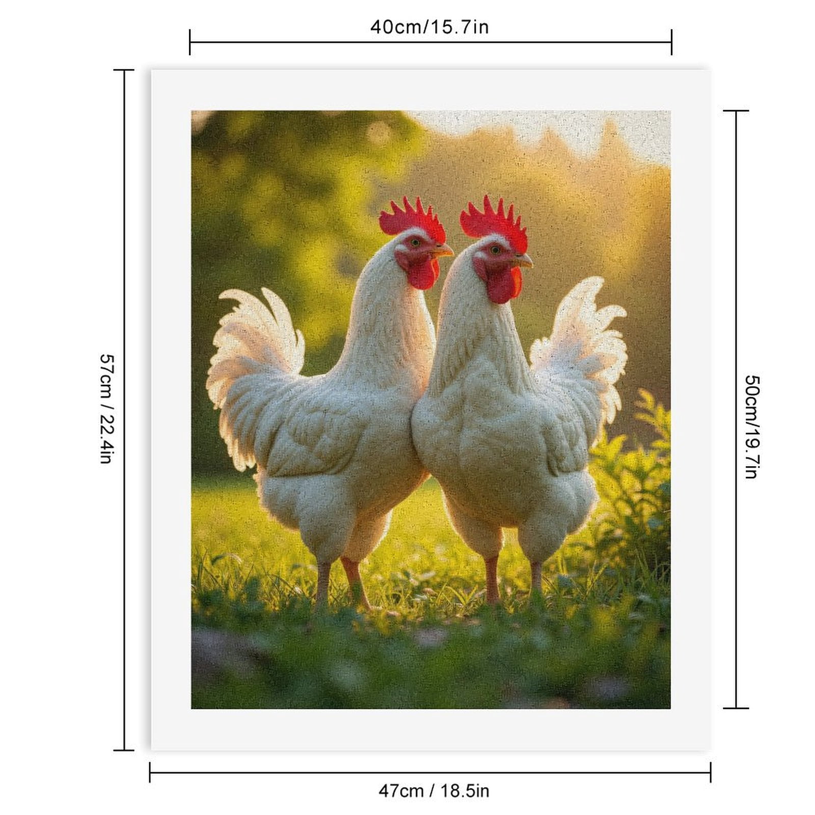 Paint By Numbers Kit for Adults Beginner - White Chickens In Sunlit Meadow DIY Canvas Painting Kits for Adults, Frameless Paint By Number for Adults for Home Wall Decor 16x20 Inch