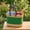 Green, variant on Color Block African Market Basket with Leather Handles, 12 Inch Wide (Green)