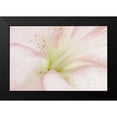 thumbnail image 2 of Murdock, Ramona 24x17 Black Modern Framed Museum Art Print Titled - Lily Centered, 2 of 5