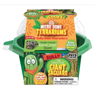 Toys By Nature Character Micro Dome Aloe Plant Terrarium Kit