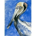 thumbnail image 2 of Parker, Jennifer Paxton 12x14 Gold Ornate Wood Framed with Double Matting Museum Art Print Titled - Pelican Pool II, 2 of 4