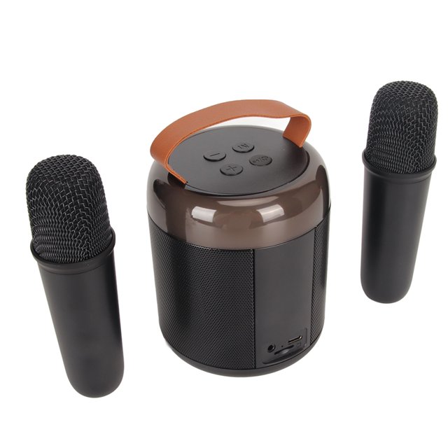 Máquina de Karaoke 53 para Niños Adultos Altavoz de Karaoke Portátil con 2 Micrófonos Inalámbricos y Luz RGB para Fiestas en Casa Regalos de Cumpleaños
