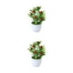thumbnail image 1 of Plantas artificiales en macetas Yuarrent bajo costo de Mantenimiento multicolor, 1 of 6